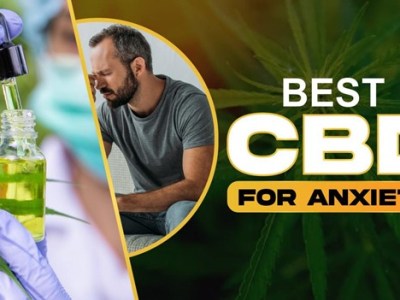 Best CBD for Anxiety: Expert-Recommended CBD Gummies & Oils to Help You Keep Calm in 2024