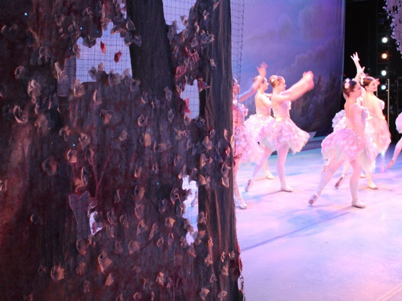 The Washington Ballet
