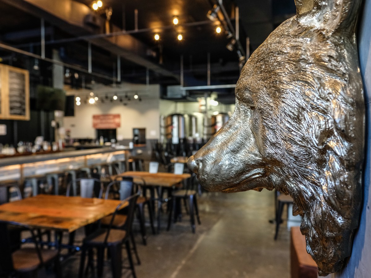 Nobody Will Name the Dirty Stinking Cheaters Who Tarnished Red Bear’s Wednesday Trivia Night