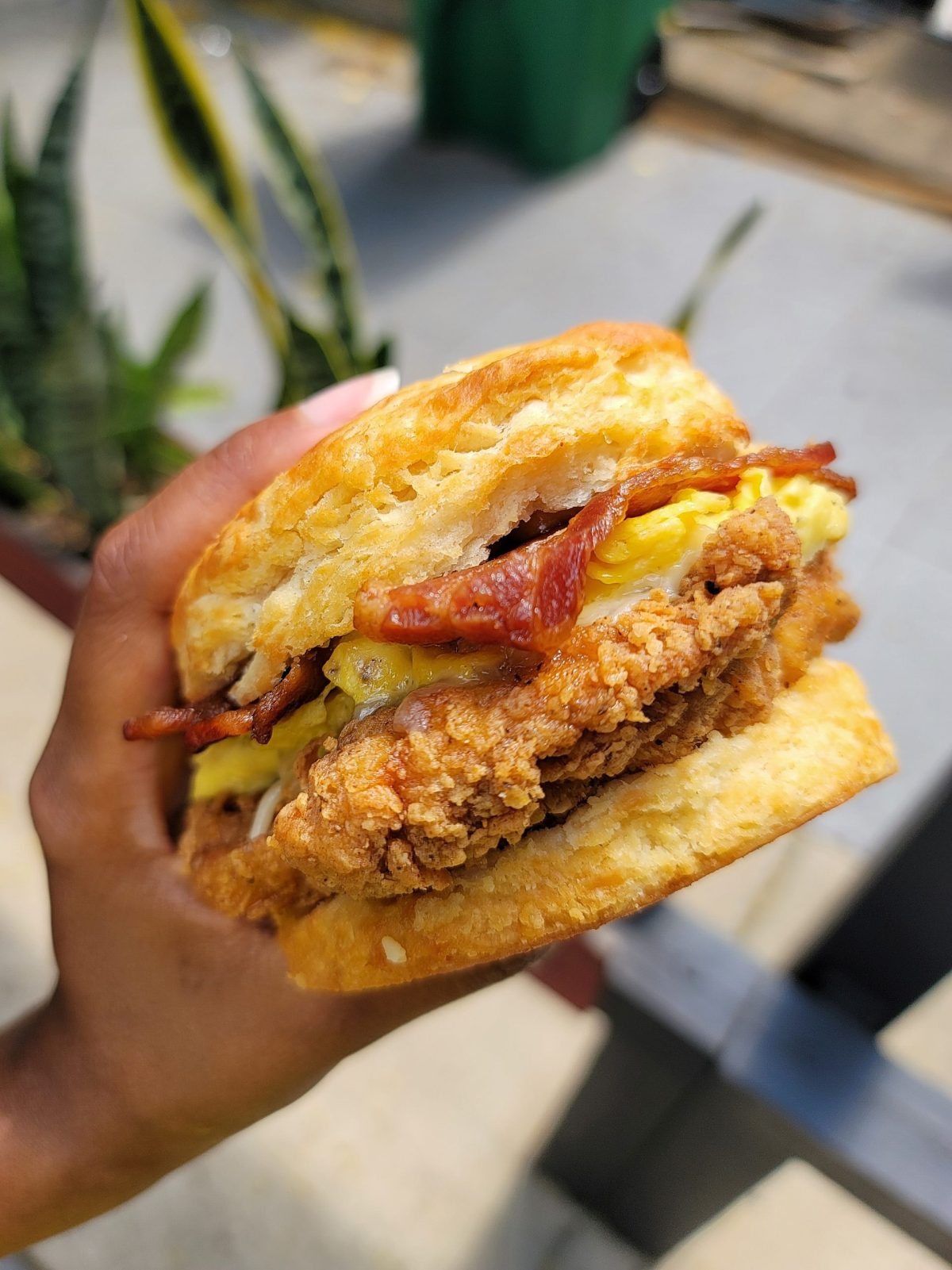 A fried chicken biscuit from Sincerely Breakfast