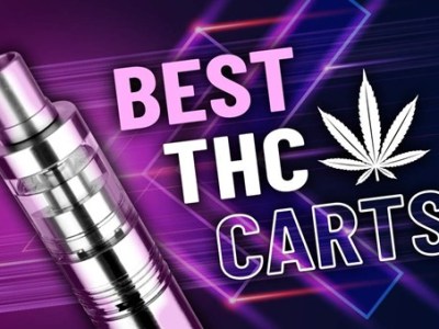 Best THC Carts of 2024 for All Type of Vapers  Promising Relaxing Highs