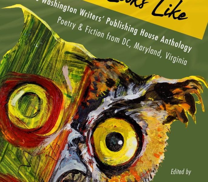 The cover of This Is What America Looks Like.