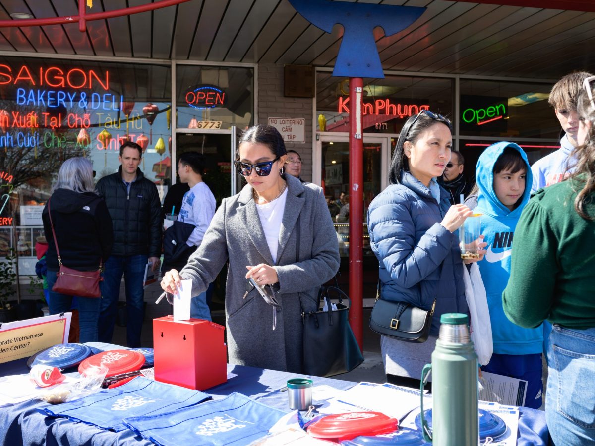 Activists Heartened by Revisions to City Plan for Eden Center Area