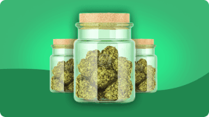 Best Autoflower Seed Banks