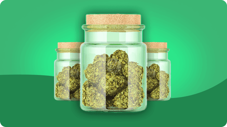 Best Autoflower Seed Banks