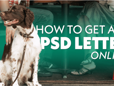 How To Get A PSD Letter Online? Discover The Best Site