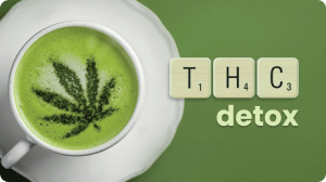 How To Detox From THC