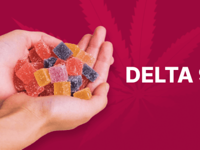 Best Delta-9 Gummies to Buy Online: Products & THC Effects