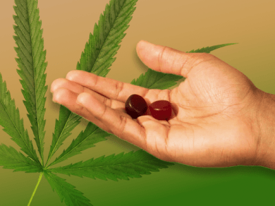 5 Best Delta-8 Gummies: Weed Edibles to Buy Online in 2024