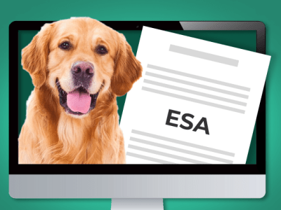 5 ESA Letter Sites to get your Emotional Support Animal Letter